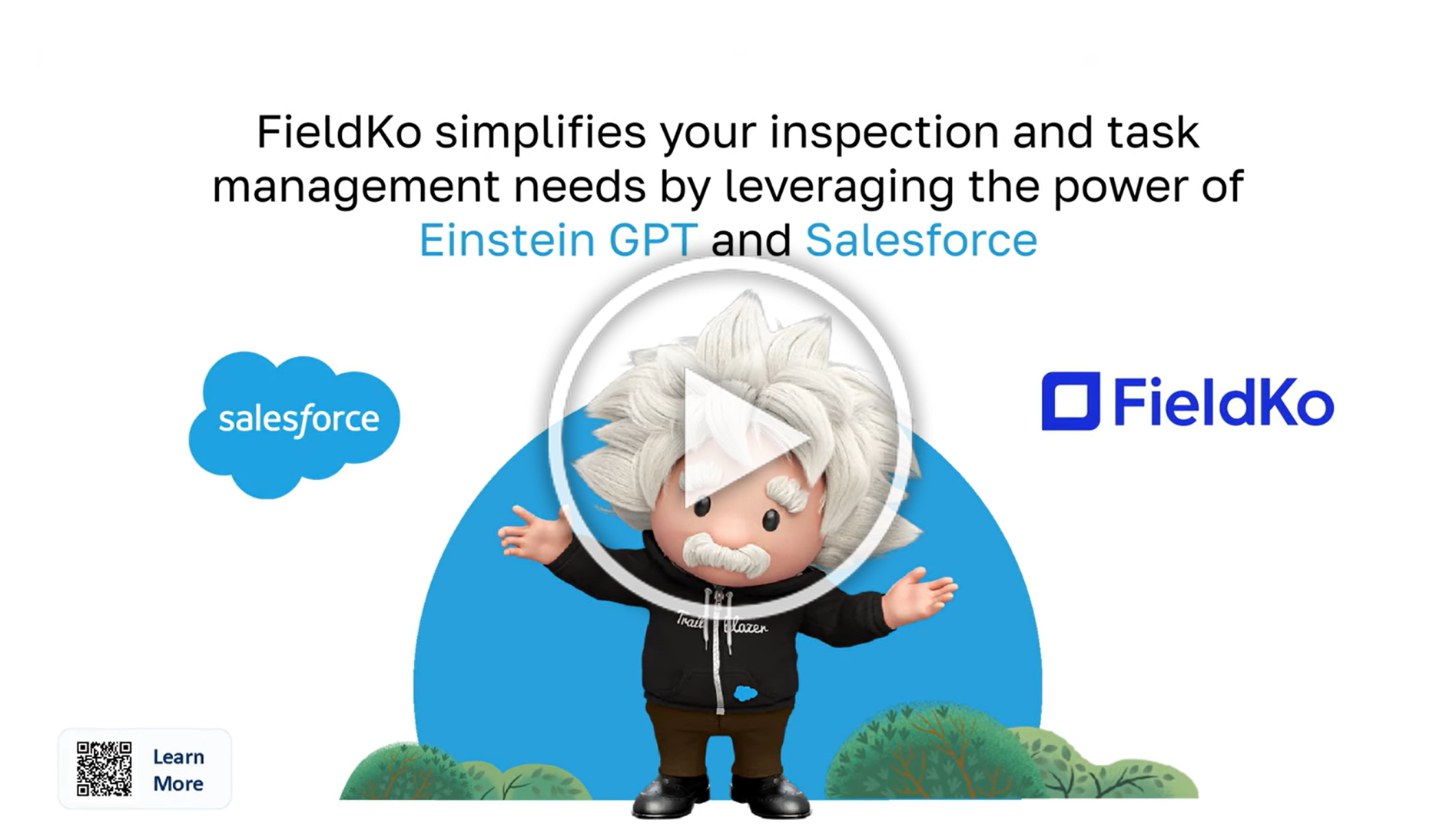 FieldKo Video Image
